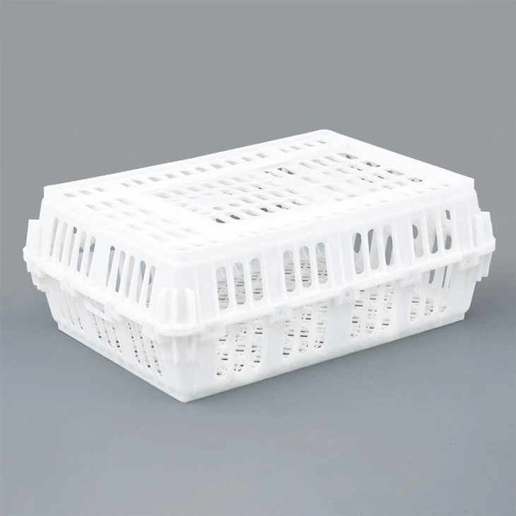 Live Poultry Plastic Crate
