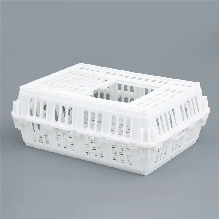 Live Poultry Plastic Crate