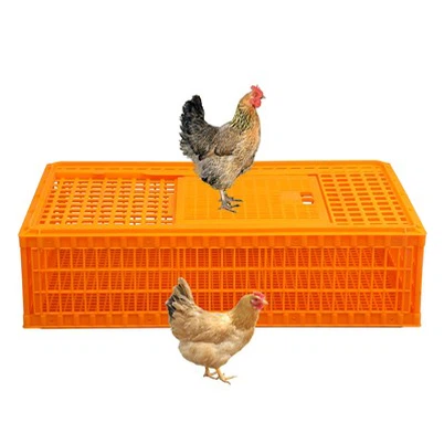 98 सेमी प्लास्टिक चिकन ट्रांसपोर्ट बॉक्स