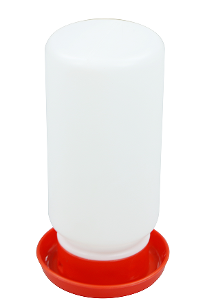 छोटे चूजों के लिए चिकन ड्रिंकर