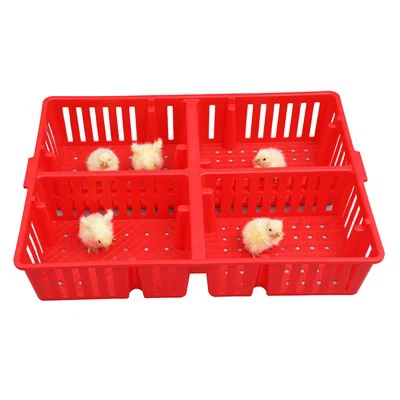 प्लास्टिक चिक बॉक्स 4 डिब्बे