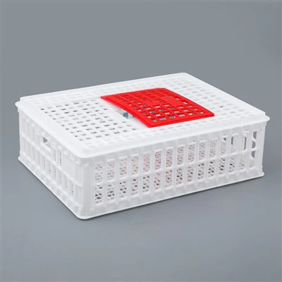 प्लास्टिक चिकन परिवहन टोकरी