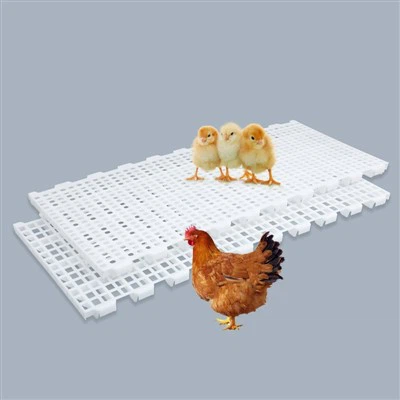 बत्तख के लिए प्लास्टिक फ़्लोर पैनल