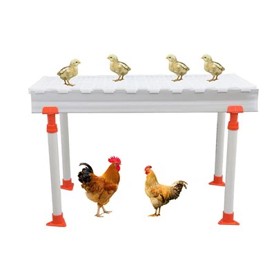 पोल्ट्री फार्म के लिए प्लास्टिक पोल्ट्री खाद लीक बोर्ड