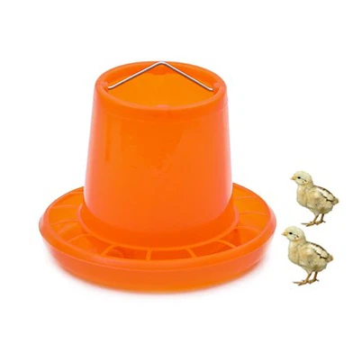 थिकेन प्लैटसिक चिकन फीडर