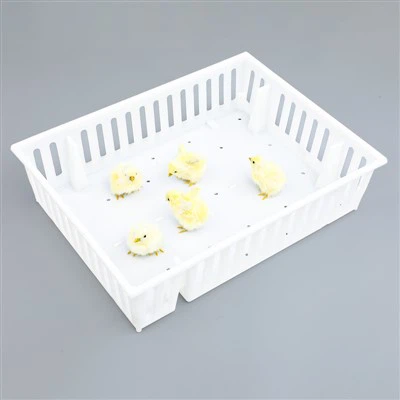 यंग बर्ड प्लास्टिक ट्रांसपोर्ट बॉक्स